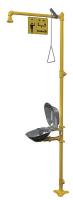 6DGW8 Drench Shower With Eyewash, Yellow