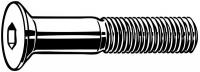 6DY73 Skt Cap Screw, FL, M16x2x30mm
