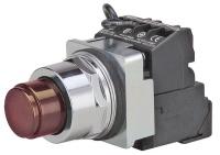 6EWR5 Pushbutton, LED, 24VAC/DC, Extend, 30mm, RD