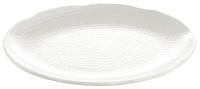 6EYV9 Tray, Oval, 20 x 15