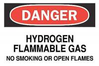 6F893 Danger No Smoking Sign, 10 x 14In, ENG