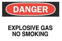 6FK40 Danger No Smoking Sign, 10 x 14In, ENG