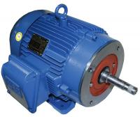 13G543 Pump Motor, 3-Ph, 1.5 HP, 1740, 230/460V