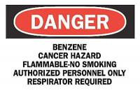 6FM37 Danger No Smoking Sign, 7 x 10In, ENG, Text