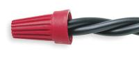 6LU55 Wire Connector Nut, WT6, Red, PK 20