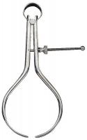 6NAX5 Outside Spring Caliper, 3 In, Solid Nut