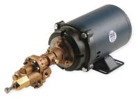 6NY39 Pump, Rotary Gear, 1 PH