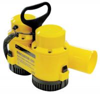 6PWA8 Submersible Pump, Portable, 12VDC