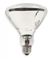 2F103 Ceramic Metal Halide Lamp, PAR38, 70W