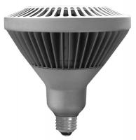 6XWJ9 LED Floodlight, PAR38, 3000K, Warm