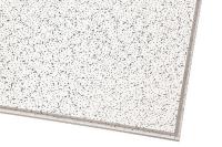 6YLR1 Ceiling Tile, 24 x 48 In, 5/8 In T, PK10