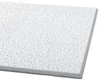 6YLR4 Ceiling Tile, 24 x 24 In, 5/8 In T, PK16
