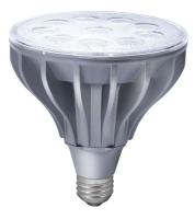 6ZFX1 LED Floodlight, PAR38, 2700K, Soft White