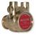 6XE95 - Pump, Rotary Vane, Brass Подробнее...