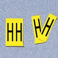8AHJ3 Label, H, Yellow, 4 In. H, PK 5
