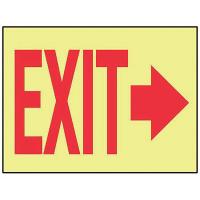 8NL83 Exit Sign, 7 x 10In, R/YEL, PLSTC, Exit, ENG