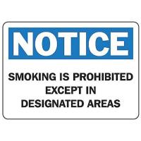 9E242 No Smoking Sign, 7 x 10In, BL and BK/WHT