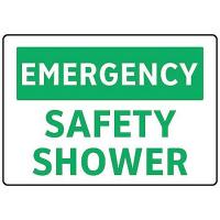 9JVK7 Safety Shower Sign, 7 x 10In, GRN/WHT, ENG