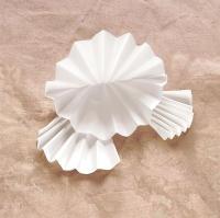 4YMX9 Filter Paper, Qual, Gr2V, Dia 15cm, PK 100