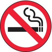 8X817 No Smoking Sign, 4 x 4In, R and BK/WHT, SYM