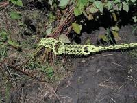 8Z253 Shrub/Clump Grubber