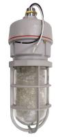 8ZPK6 Emergency Shower Station Light, Tan