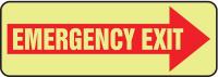 8G416 Emergency Exit Sign, 3-1/2 x 10 In., Glow
