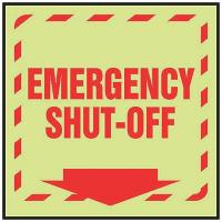 9J601 Emergency Sign, 8 x 10In, R/Glow, ENG