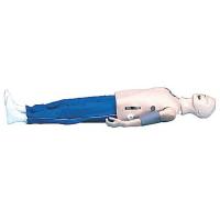 9EXZ6 Adult Auscultation Mannequin