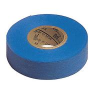 9HP56 Biodegradable Flagging Tape, Blue, 100 ft