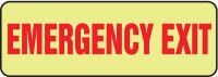 8G417 Emergency Exit Sign, 3-1/2 x 10 In., Glow