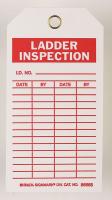 9K964 Lad Inspection Tag, 5-3/4 x 3 In, PK100