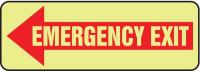 9LK73 Emergency Exit Sign, 3-1/2 x 10 In., Glow