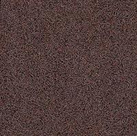 8DJF0 Entrance Mat, Brown, 6 x 12 ft.