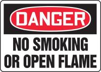8PEJ2 Danger No Smoking Sign, 7 x 10In, ENG, Text