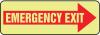 8G416 - Emergency Exit Sign, 3-1/2 x 10 In., Glow Подробнее...